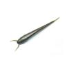 Nishine Lure Works Nishine Namazu 4 Inch #2 Green Pumpkin