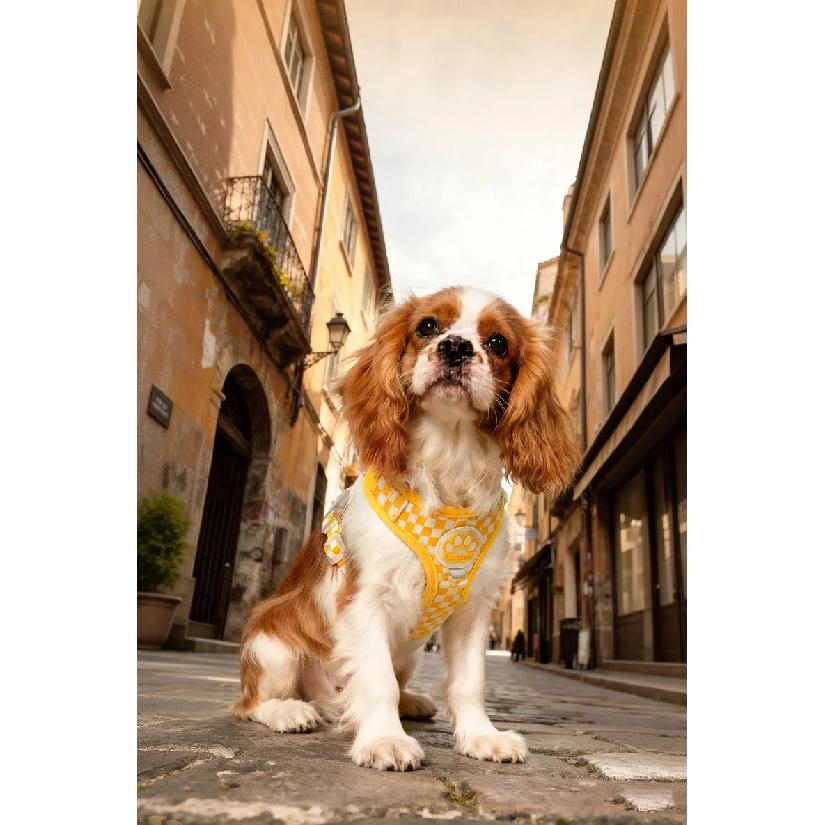 Vintage Plaid Dog Harness Leash Set Comfort Breathable Adjustable No-Choke Pet Vest for Small Medium Dogs Pechera Para Perro