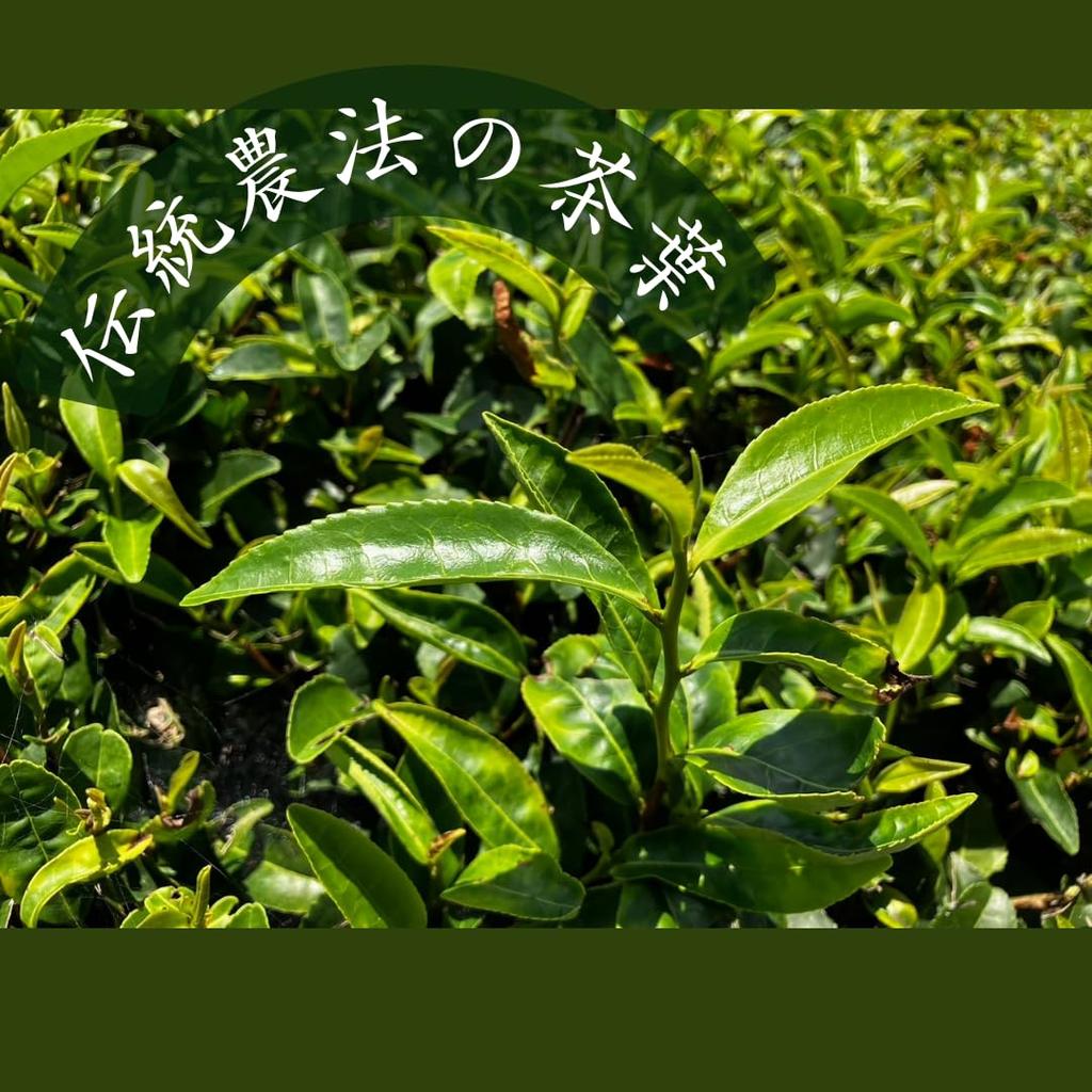 Koicha (Furuame) 20g Puszka Uji, Prefektura Kioto, Proszek, Matcha, Zielona Herbata, Liście Herbaty, Herbata, Sproszkowana Zielona Herbata, Proszek, Latte, Słodycze, Przekąski, Herbata