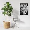 Canvas Print Africa Lion Black and White
