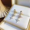 A Pair of Two-wear Zircon Star Earrings, Elegant and Fashionable, Unique Design, Simple and Versatile, High-end Earrings for Women