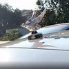 Decorazione Ornamentale Emblema Aquila per Auto Cofano Motore Emblema Aquila 3D Patch di Modifica Loghi Accessori Decorativi Esterni