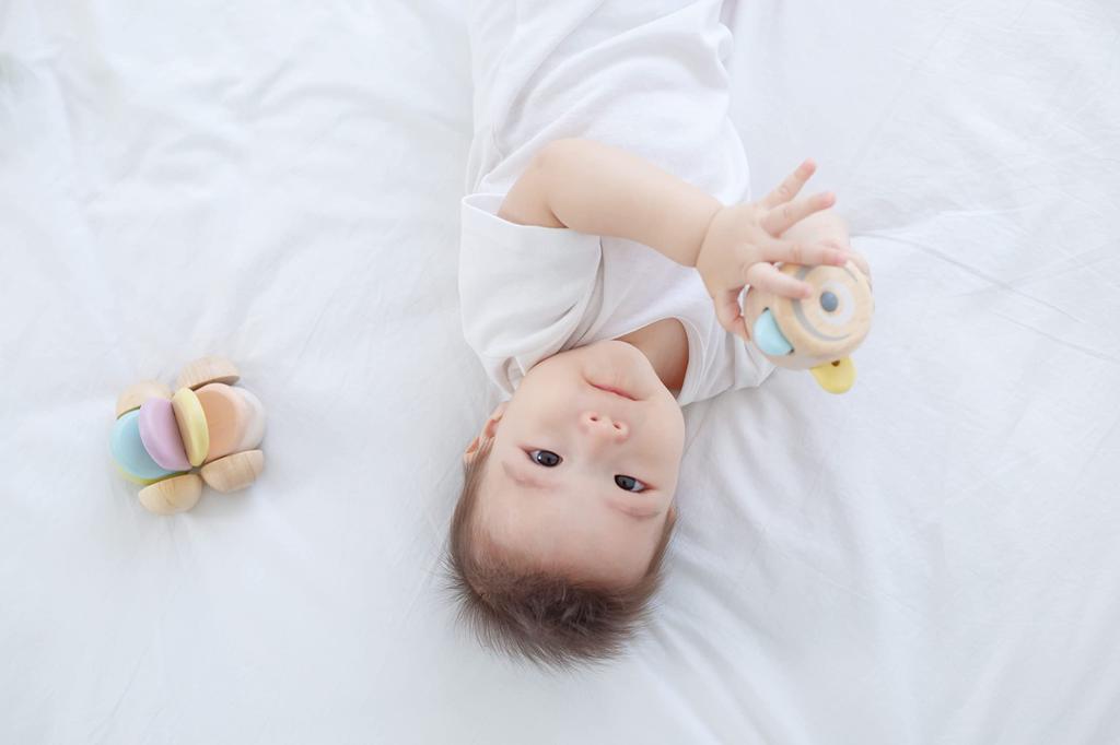 PLANTOYS Peekaboo Roller Pastel 5252