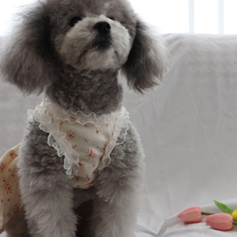 Haneul Mung Mung Sky Woof Woof Baby Sailor Moon One Piece 3 Colors