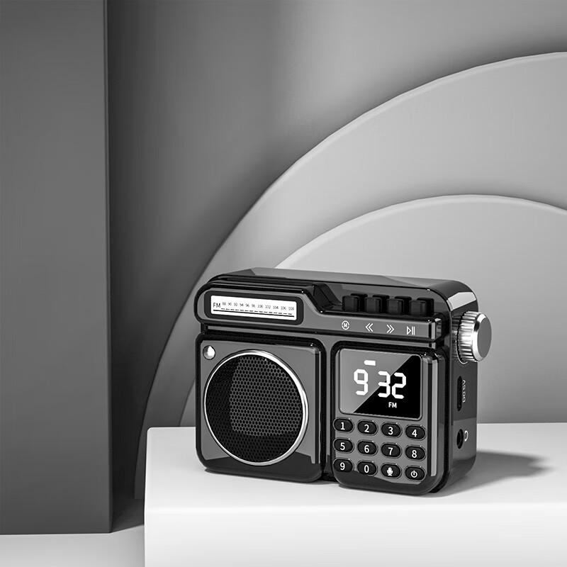 Newmine Retro Portable Bluetooth Speaker with FM Radio and Recorder