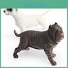 Pvc Large Dog Model For Children Educational Animal Figurine Toy For Kids Learning