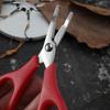 1Pc Ultifunctional Lure Pliers Hook Removal Pliers Fishing Tools Fishing Portable Fishing Line Scissors Hooker Pliers Fishing Scissors