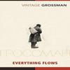 Everything Flows by Vasily Grossman Paperback Book 9780099519164