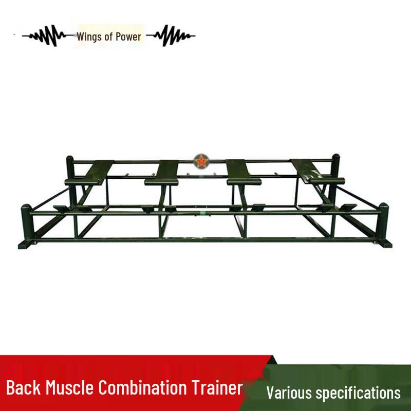 Power Wing Outdoor 4-Person Back Strength Trainer