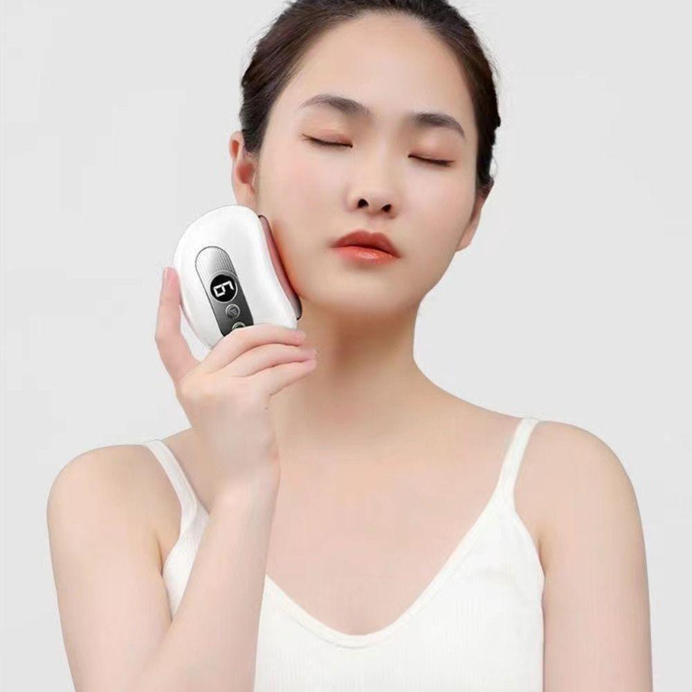 Constant Temperature Electric Scraping Plate Deep Conditioning Face Massager  Professional Use
