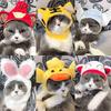 Adorable Pet Hat: Cat & Dog Hood Wig Costume Accessories