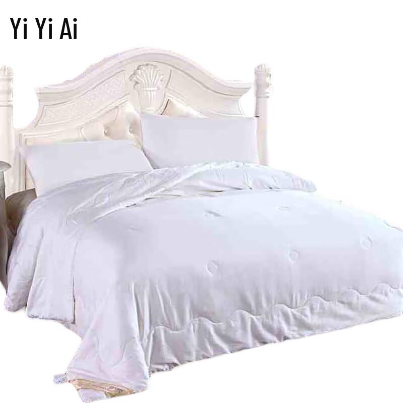 

Yiyiai Satin 100% Mulberry Silk Quilt