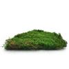 Flat Mech Long - Sweden - Medium Green 500G