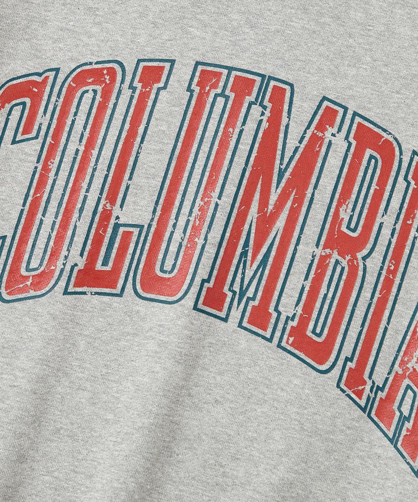 COLUMBIA UNIVERSITY Vtg Big Crack Heavy Terry Crew Neck_M.Gray
