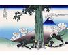 Katsushika Views of Mount Fuji Photo Mug Hokusai's Thirty-six "Kōshū Mishimagoe" Mug (Ukiyo-e Series)