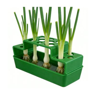 3D Geprinte Lente-ui Planter 14 Gaten Lente-ui Hydroponische Regeneratie Planter Houder Aanrecht Bodemloze Plantenbak