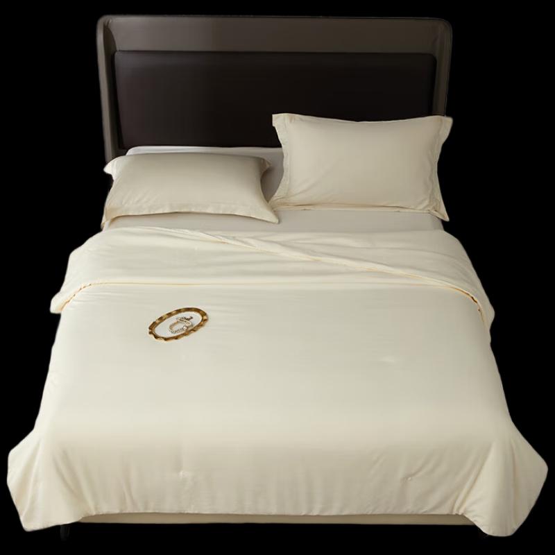 

HONGDOU Tussah Silk All-Season Quilt