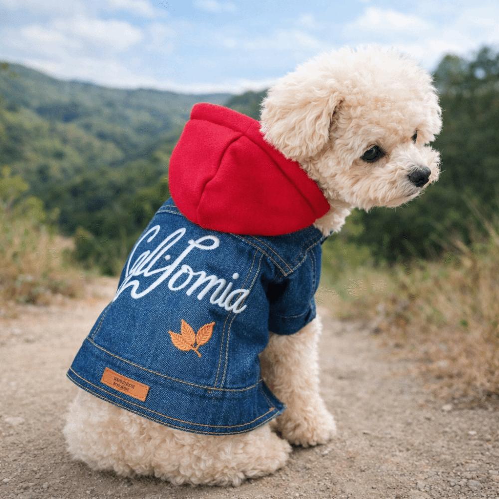 Letter Embroider Dog Jean Jacket Windproof Pet Cowboy Outfit Pet Denim Hoodie  Spring Autumn
