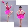 Ballroom Dance Competition Kids Dancing Dresses Kids Latin Dress Practice Wear Skirts Child Flamengo Stage Costumes for Girls