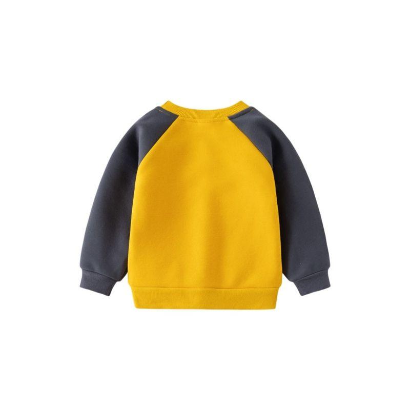 Boys' Fleece-Lined Sweater Autumn and Winter Children Single-Layer Fleece-Lined Long Sleeves Outwear Children Dinosaur Raglan Sleeve Pullover Tops