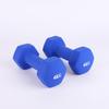Manubrio Solido in Ghisa da 1,5 kg per Fitness a Casa
