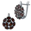 Silver Earrings with Natural Garnet 5.95ct (1983942)