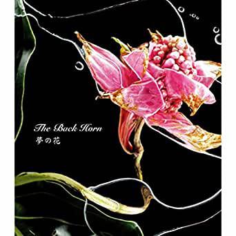 CD BACK HORN Yume No Hana dream Flower VICL35694 Speedstar Recor 2004 Japan ObiRock Used