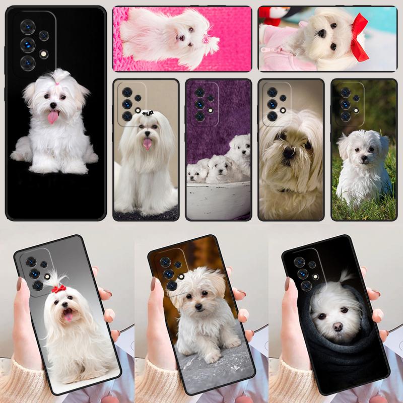 Cartoon Maltese Dog phone case For Samsung Galaxy A42 A31 A40 A51 A71 A32 A80 A91 A52 A72 A73 A20e A21S A50 A70 A11 A12 Cover