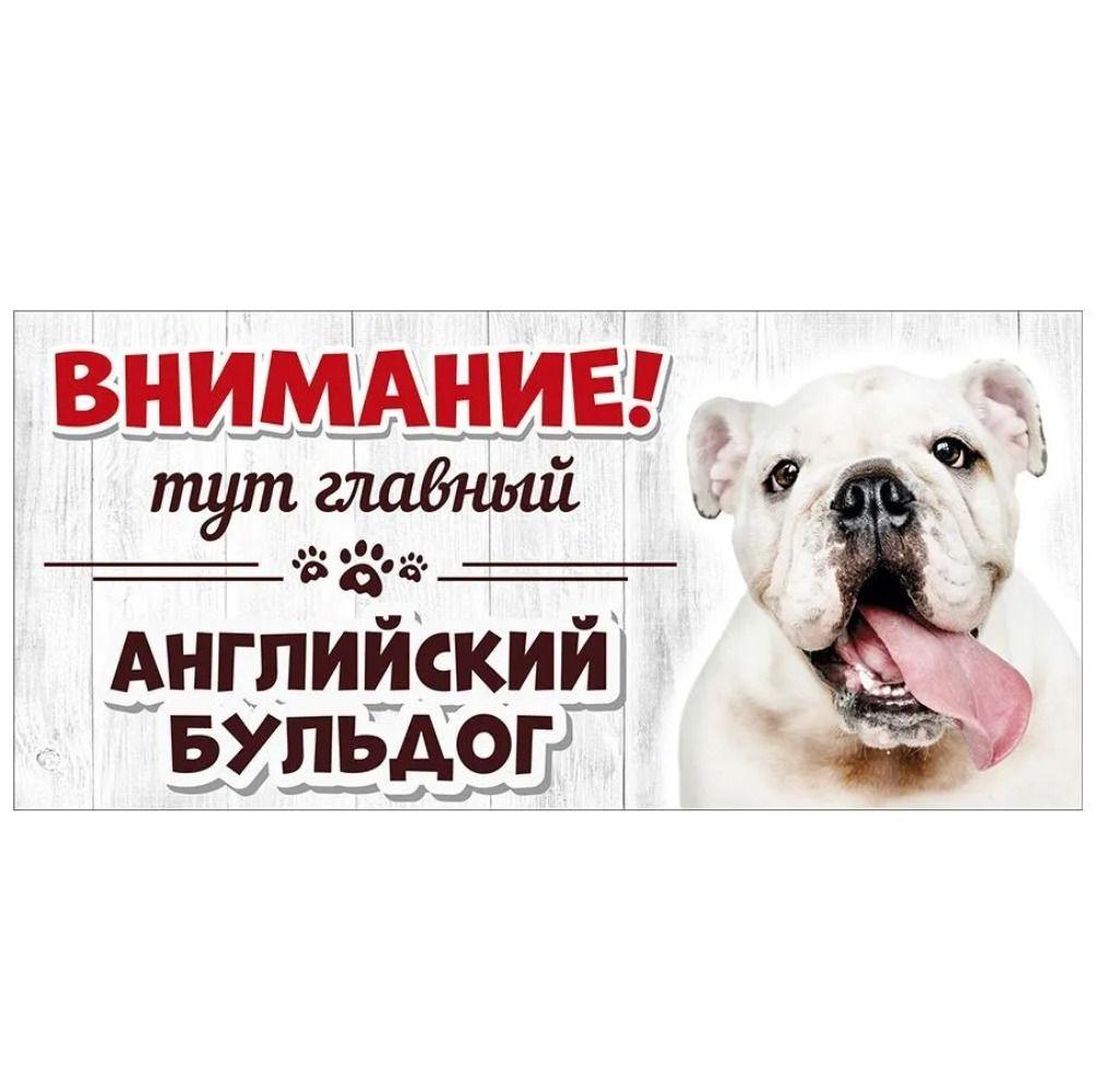 Evil Pomeranian Spitz Sign, Metal Fence Door Plaque 30x15cm