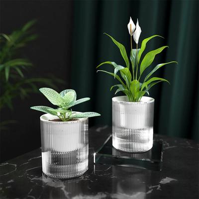 Lazy Flower Pot Automatic Water-Absorbing Flowerpot Transparent Plastic Self Watering Planter Plants Nursery Pot Garden Decor