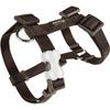 NC Adjustable Harness Red Dingo Basic Black T4