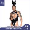 JSY Men's New One-piece Erotic Underwear Nightclub Bar Male Model Stage Performance Erotic Uniform Rabbit Man
