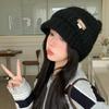 New Autumn and Winter Cat Ear Knitted Wool Hat Korean Casual and Versatile Warm Hat Outdoor Windproof Ear Protection Hat