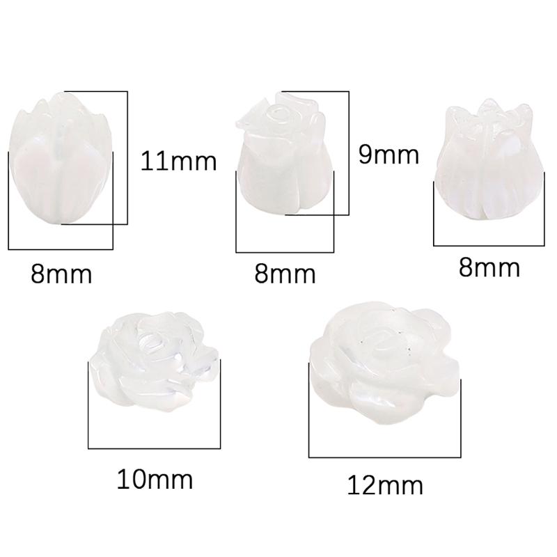 Natural Horseshoe Shell Beads For DIY Necklace Bracelet Earrings Jewelry Making