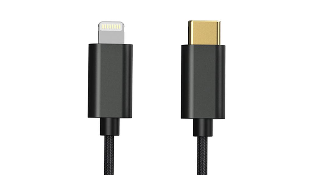 FiiO LT-LT4 [Offizielles japanisches Einzelhandelsprodukt] 50cm OTG-Kabel, Lightning Typ-C auf Lightning