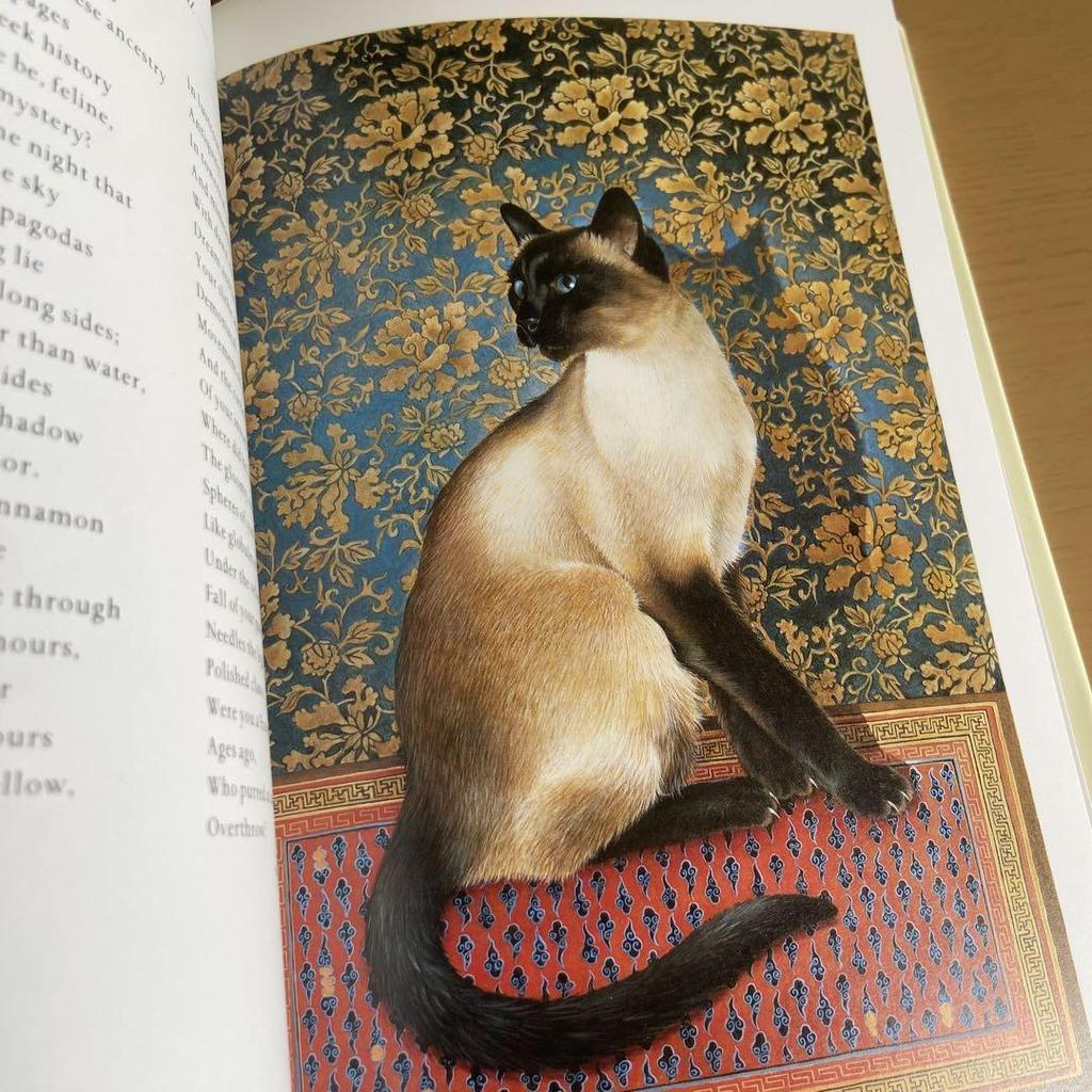 [USED] GLORIOUS CATS (damaged) English book, antique, used book