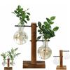 Hydroponische Pflanze Terrarium Glasflasche Hydroponische Schreibtischdekoration Büro Grünpflanze Kleiner Topf Zuhause Vasevasendekoration