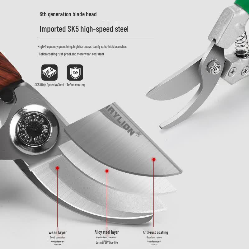 Berry Lion Pruning Shears