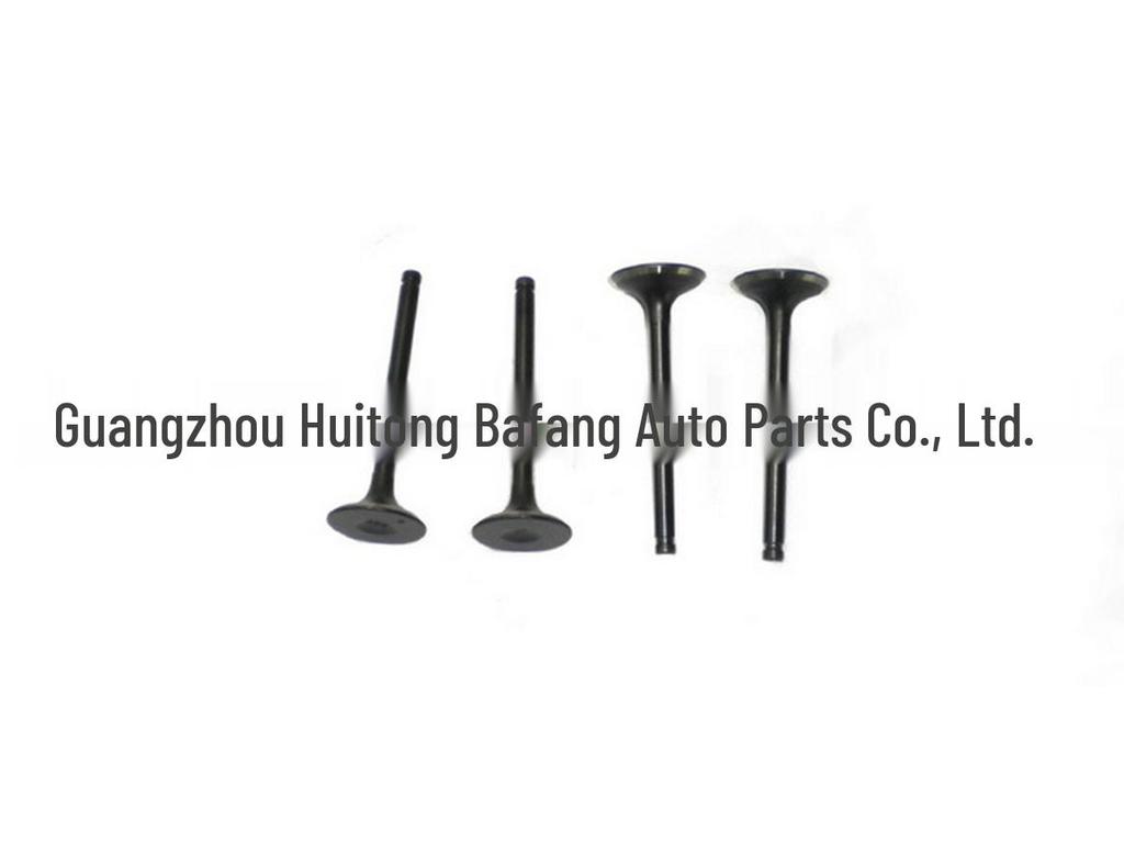 Jiangling Transit V348 & Qingling 600P NHR/NKR Exhaust Valve