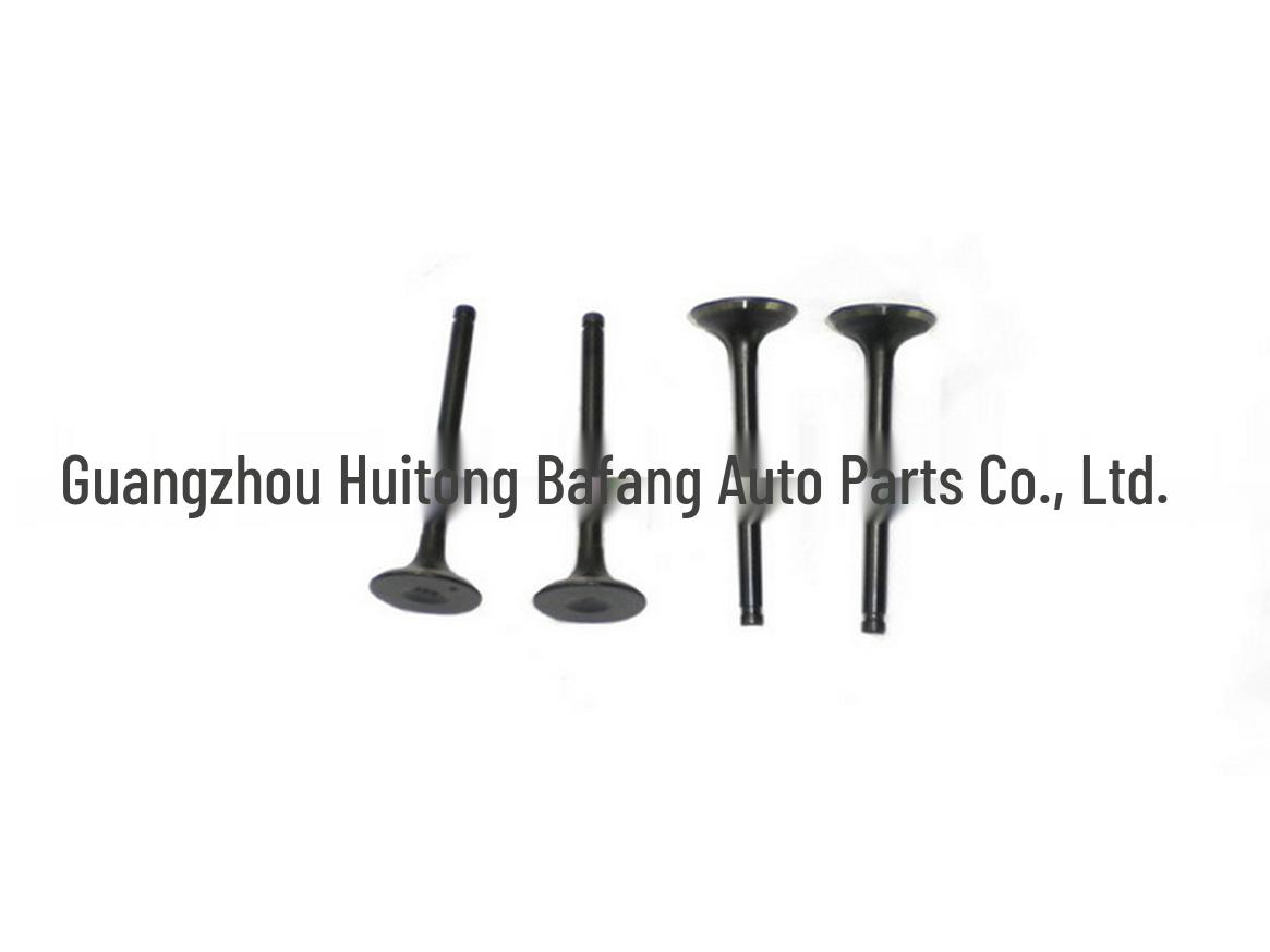 

Jiangling Transit V348 & Qingling 600P NHR/NKR Exhaust Valve