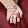 European & American Christmas Press-On False Nails Set