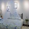 Ceiling Hanging Dome Mosquito Net: Encrypted Folding Princess Net for Homestay