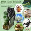 Acrylic Reptile Feeding Box Spider Lizard Palace Breeding Box High Transparency Visual Ventilation Ecological Tank