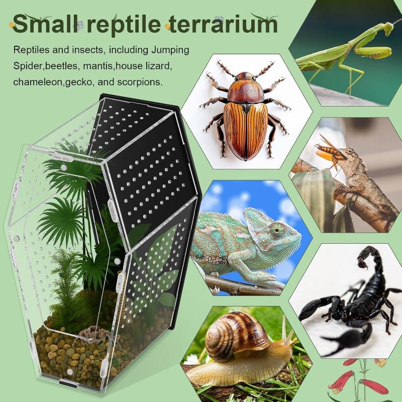 Acrylic Reptile Feeding Box Spider Lizard Palace Breeding Box High Transparency Visual Ventilation Ecological Tank