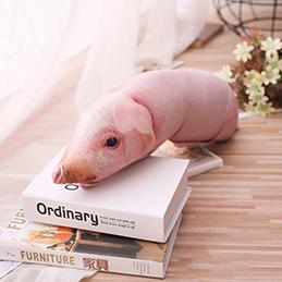 Oreiller Peluche Cochon Dormeur 50cm Oreiller Animal Imprimé Rempli Support Lombaire Lit Chaise Berceau Coussin Décoratif
