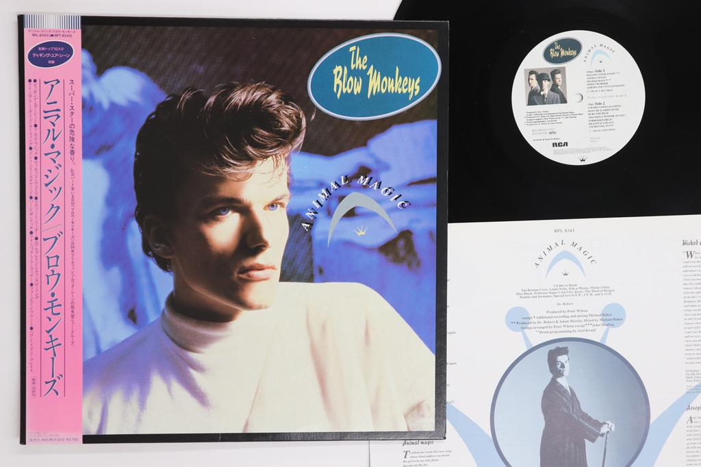 LP Record BLOW MONKEYS - Animal Magic RPL8343 RCA 1986 Japan Obi Rock Used