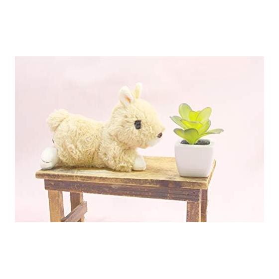 Takeoff Plush Rabbit Maron with Music Box Netherland Dwarp Beige Total Length 19cm