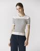 GIORDANO Striped Ribbed Short Sleeve Knit (12Gg) 354516 [4Color]