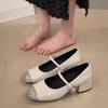 Silver soft-soled light-mouth Mary Jane shoes women's new spring and summer one-word with retro high-heeled single shoes