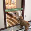 Hondenhek met deur, perforatievrij ontwerp, uitbreidbare breedte, kort huisdierhek, trappen, deuren, metalen deurrail, binnenhekken voor kleine honden, puppy's